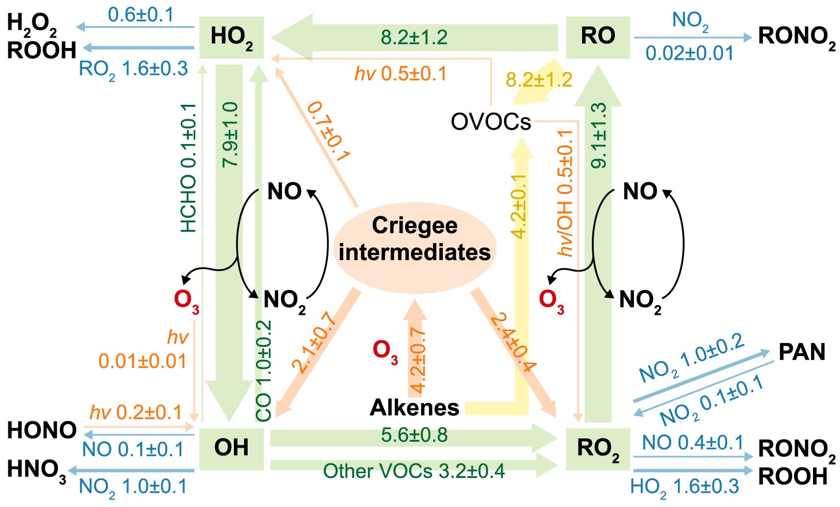Daytime (08:00–20:00 LT) average budget of ROx on O3 episode days (January 1, 13, 16, and 20, 2018) (unit: × 107 molecules cm−3 s−1). The orange, blue, and green arrows indicate the initiation, termination, and recycling pathways of radicals, respectively, and the yellow arrows denote reactions related to OVOCs.
