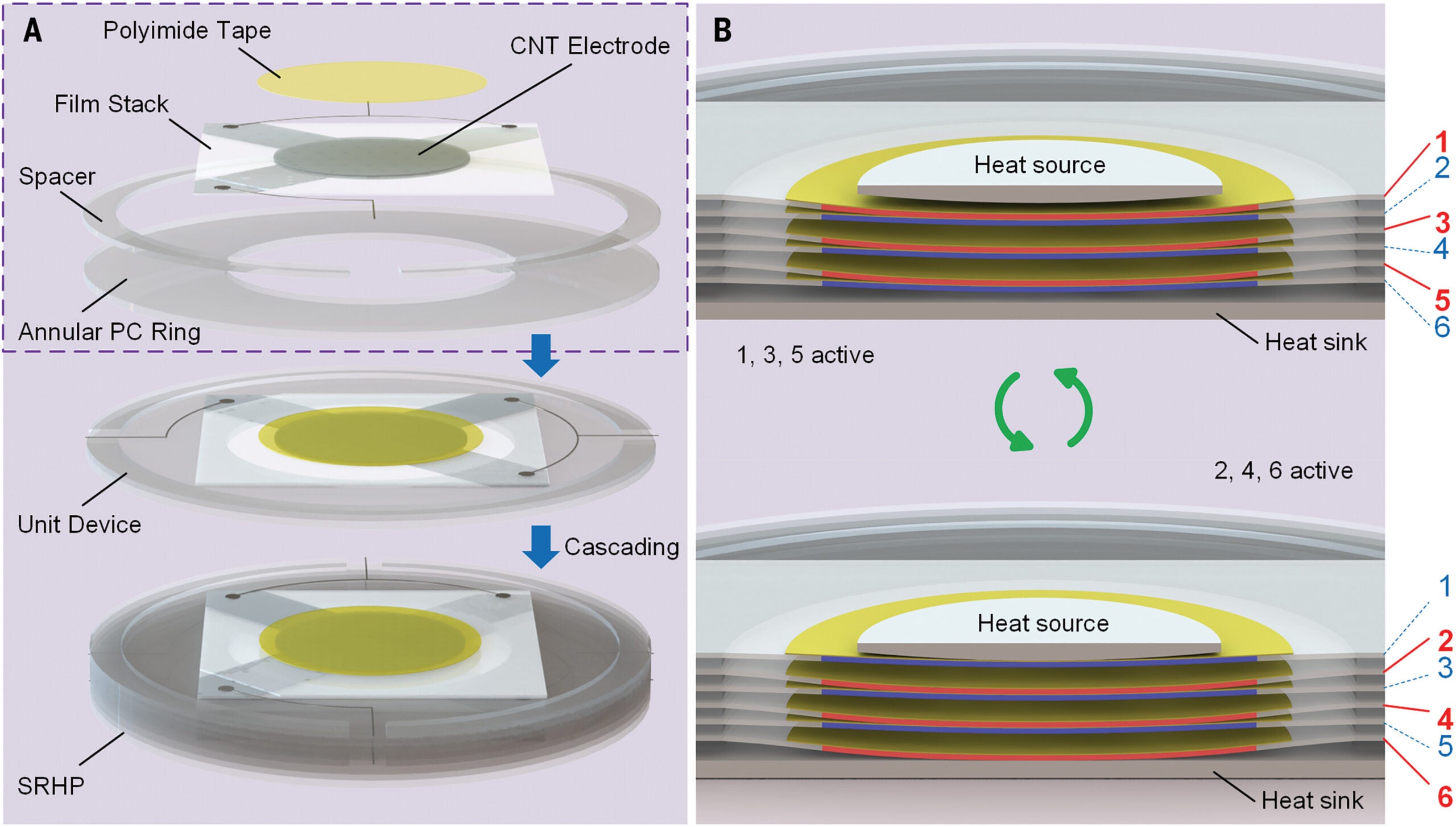 Architecture and operation mechanism of the SRHP.