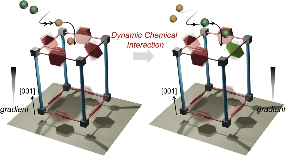 Dynamic chemical interaction.