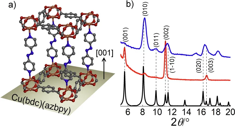 Diffusion selectivity in oriented nanochannel.