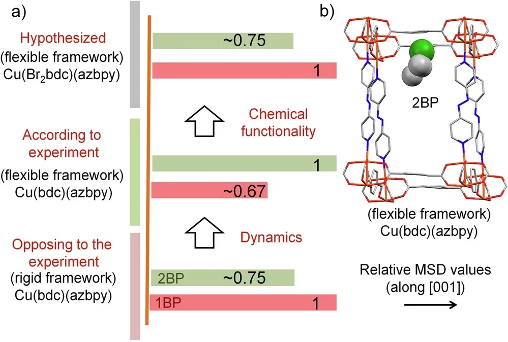 Framework dynamics and diffusion control.