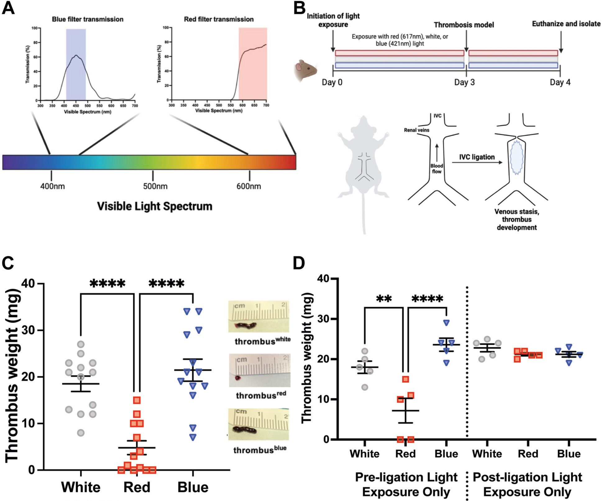 Prophylactic long-wavelength light exposure reduces thrombogenesis.