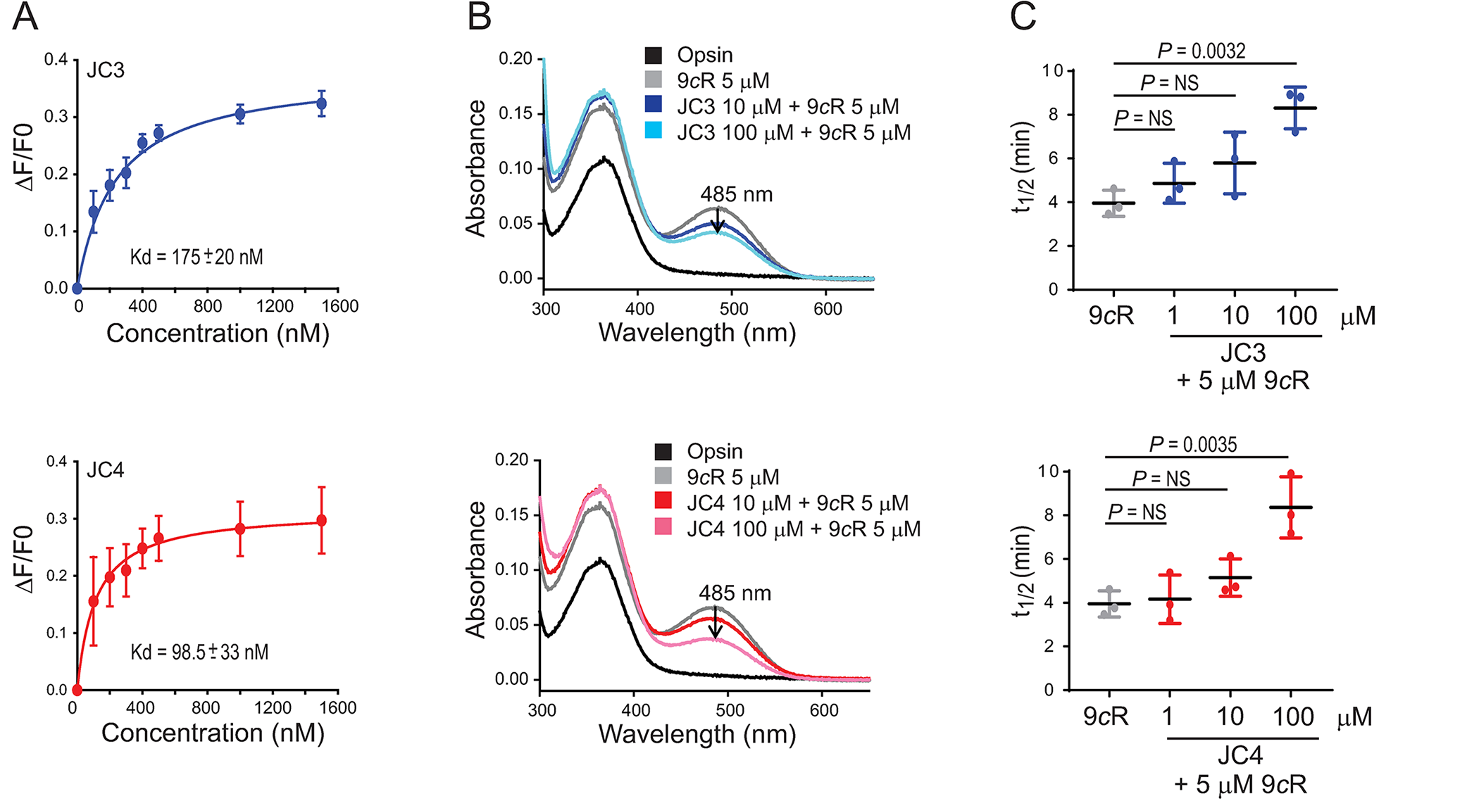 Binding of JC3 and JC4 to rod opsin, their effects on pigment regeneration, stability, and signaling.