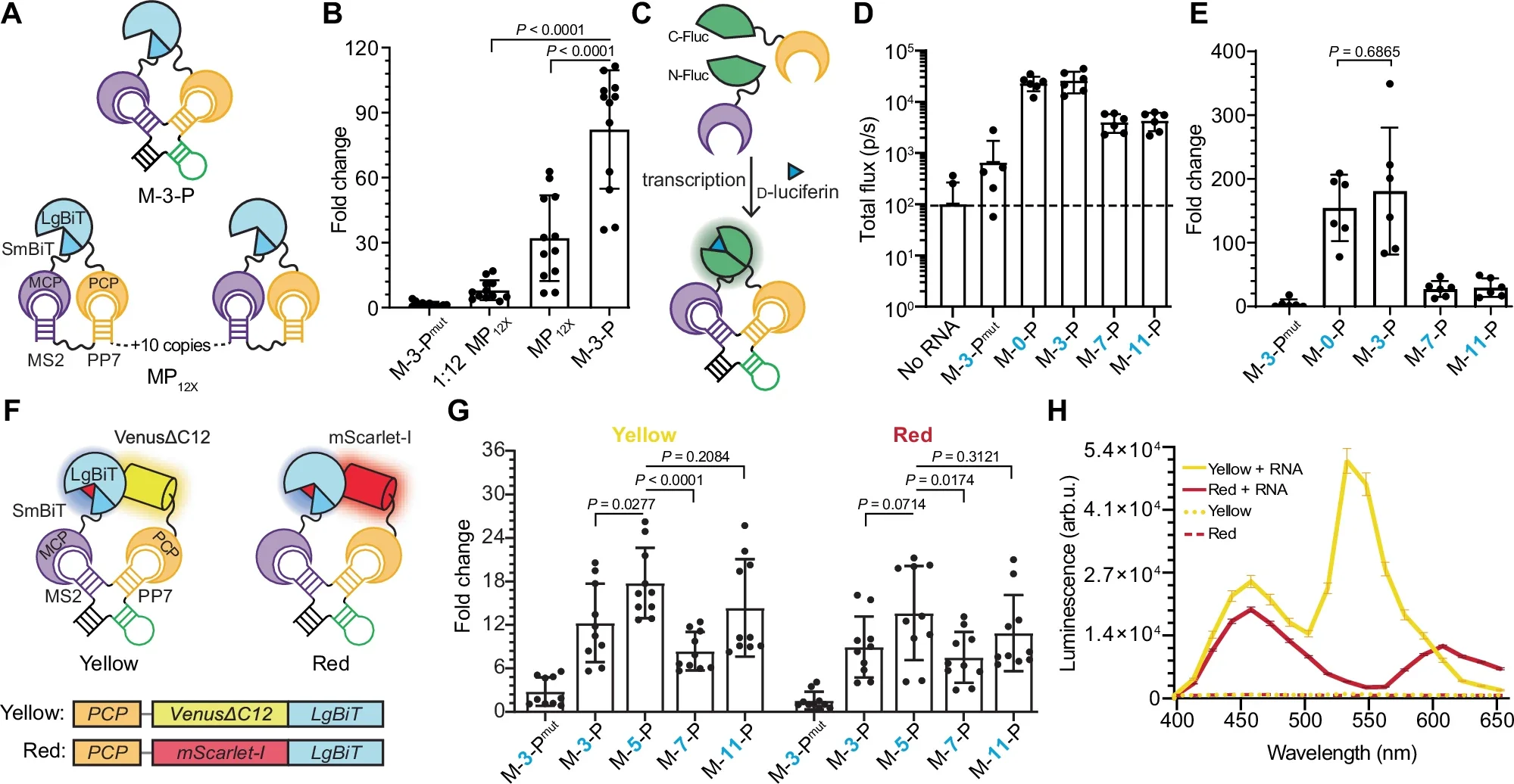 Robustness and modularity of structured RNA baits.