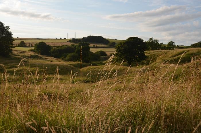 Grass covered mounds mark the site of the Roman-era lead mine at Charterhouse on Mendip in the United Kingdom

