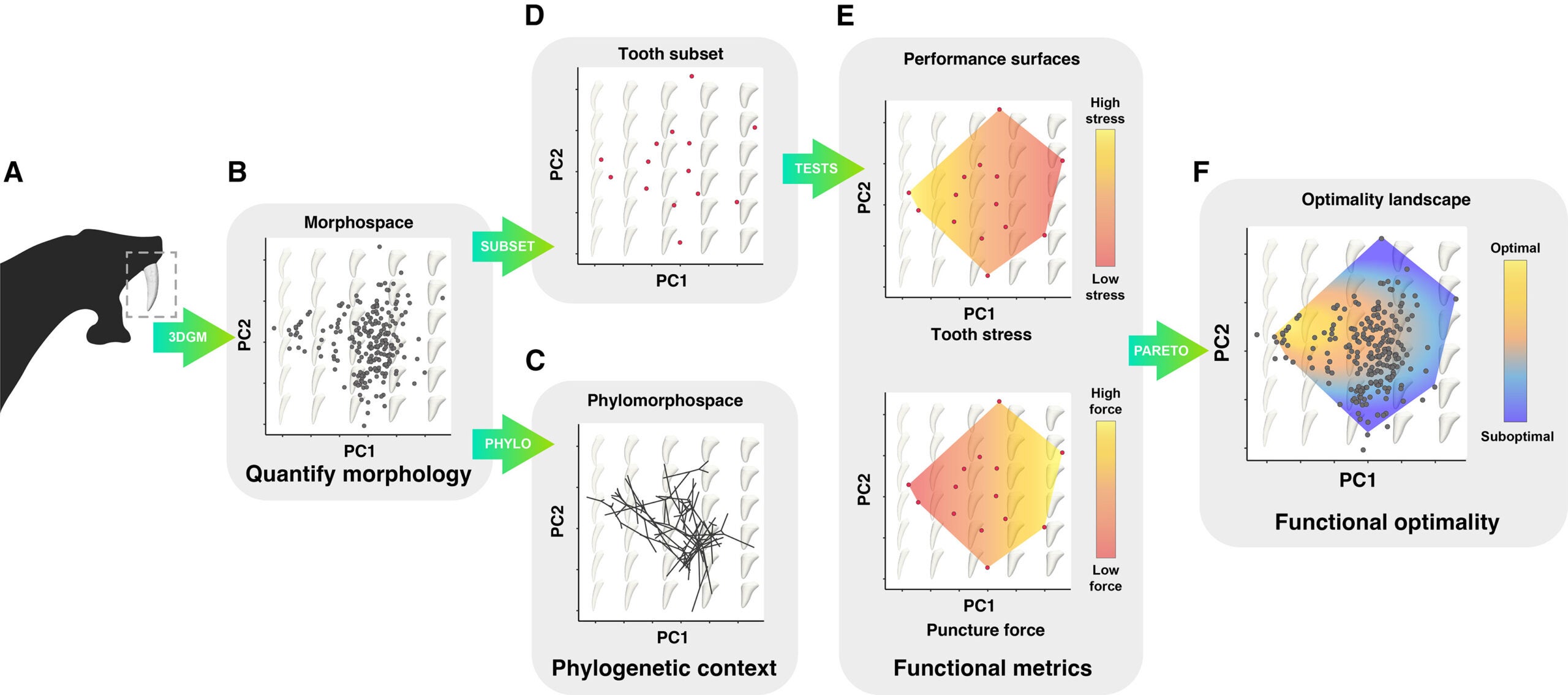 Workflow used in this study for landscape generation via a Pareto approach