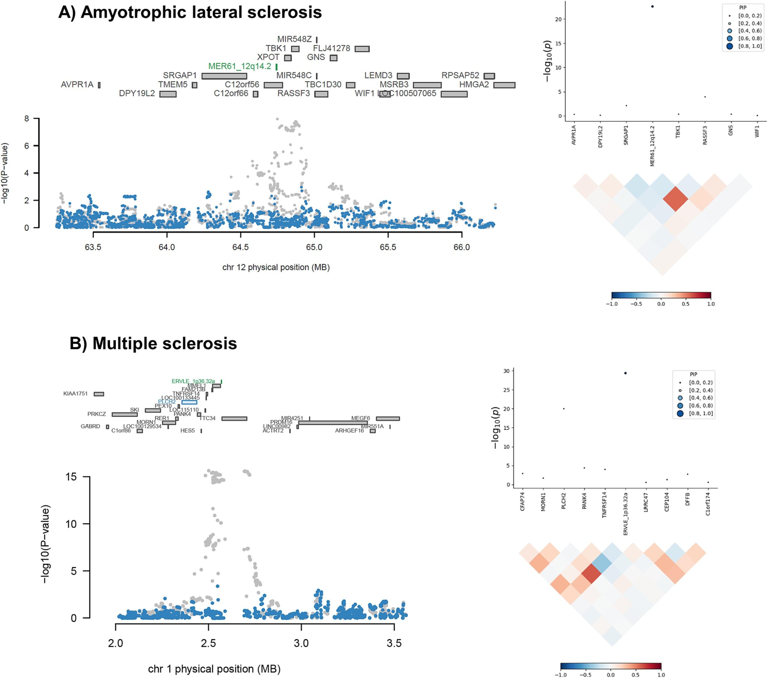 Conditional and joint analyses, and fine-mapping results.