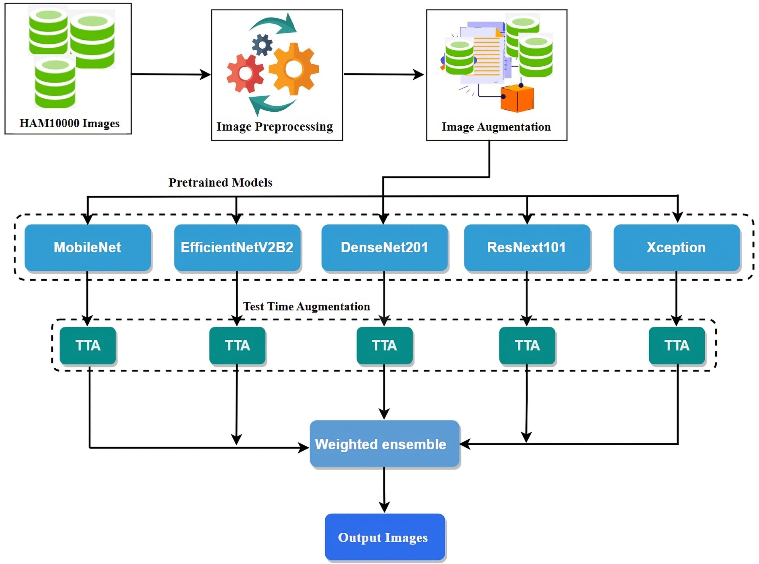The proposed model architecture. Note: TTA: test-time augmentation.