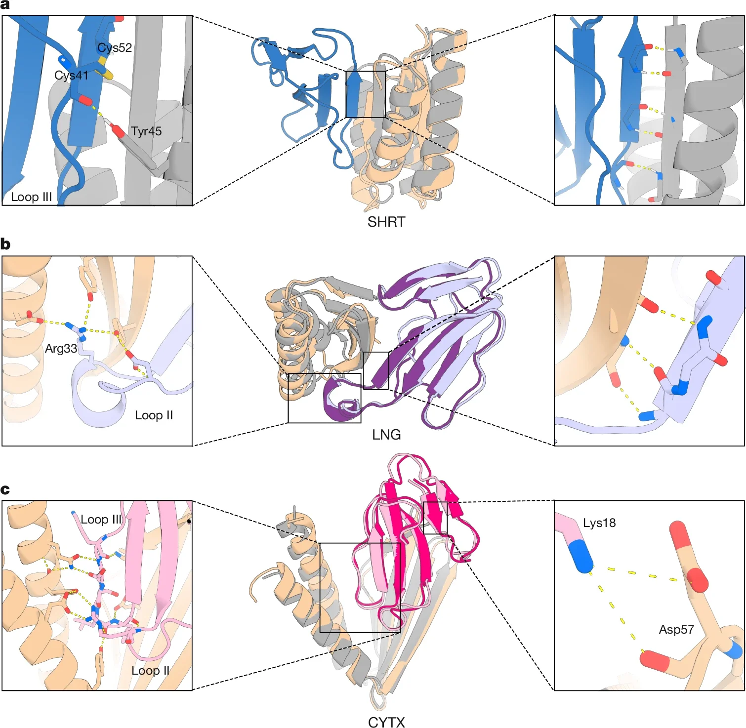 Crystal structures of 3FTx-binding proteins closely matched those of the design models.
