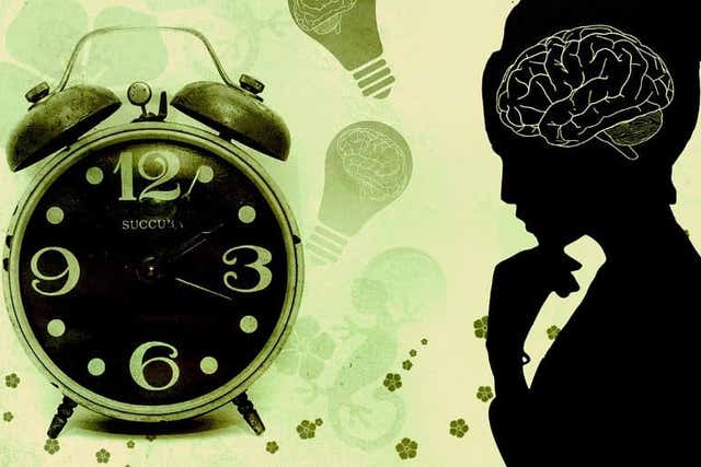 Researchers discover how space and time interact in the brain - The ...