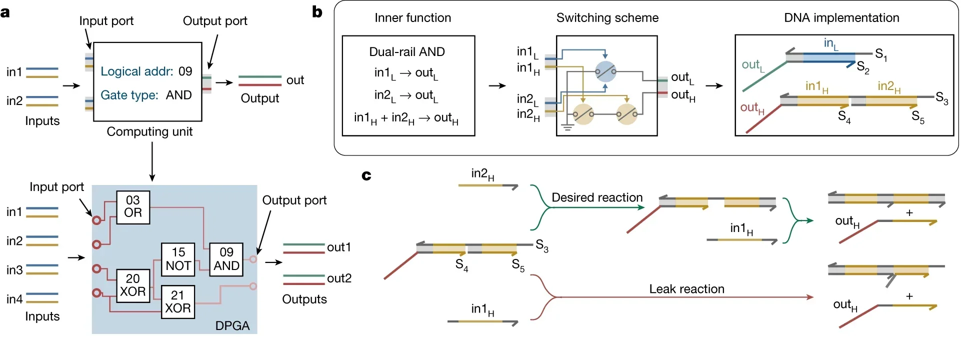 Uniform dual-rail computing units with logic-gated DNA–UTS transmission.