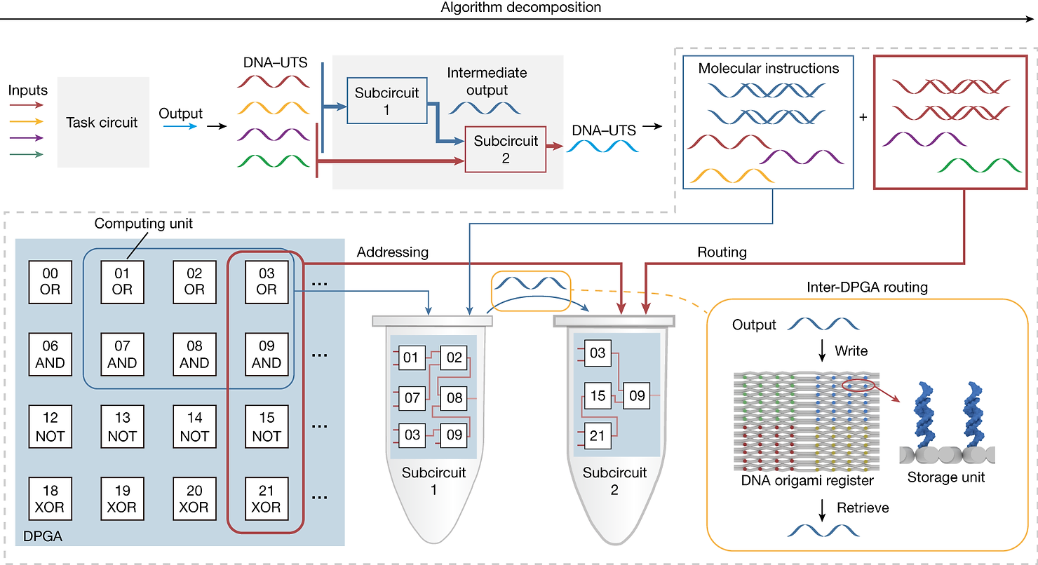 Schematic workflow of DPGA programming. 