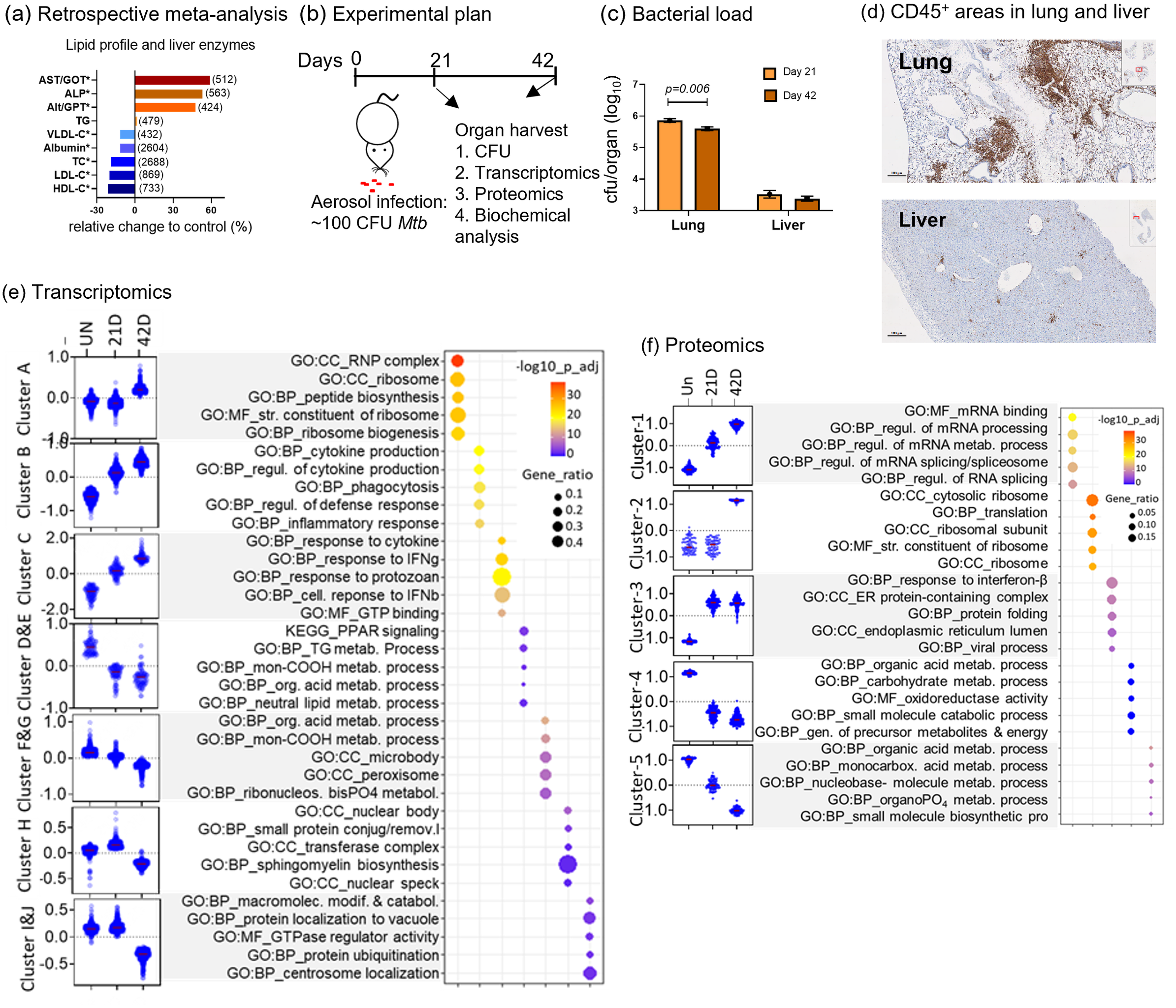 Altered hepatic metabolic landscape and insulin sensitivity in response to pulmonary tuberculosis

