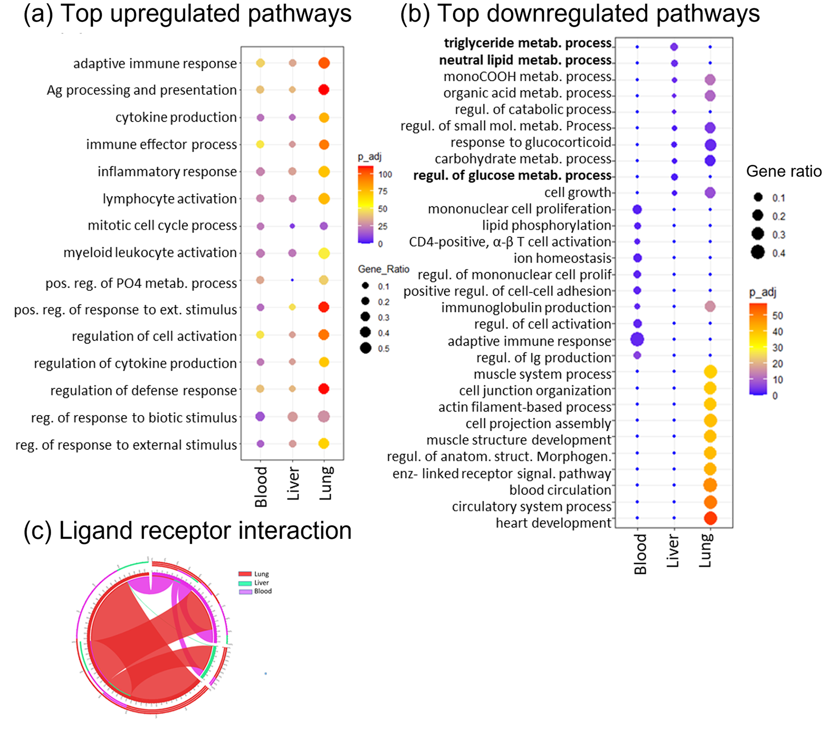Altered hepatic metabolic landscape and insulin sensitivity in response to pulmonary tuberculosis