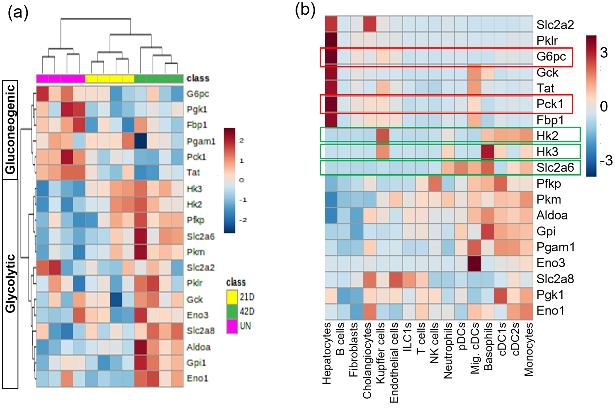 Altered hepatic metabolic landscape and insulin sensitivity in response to pulmonary tuberculosis