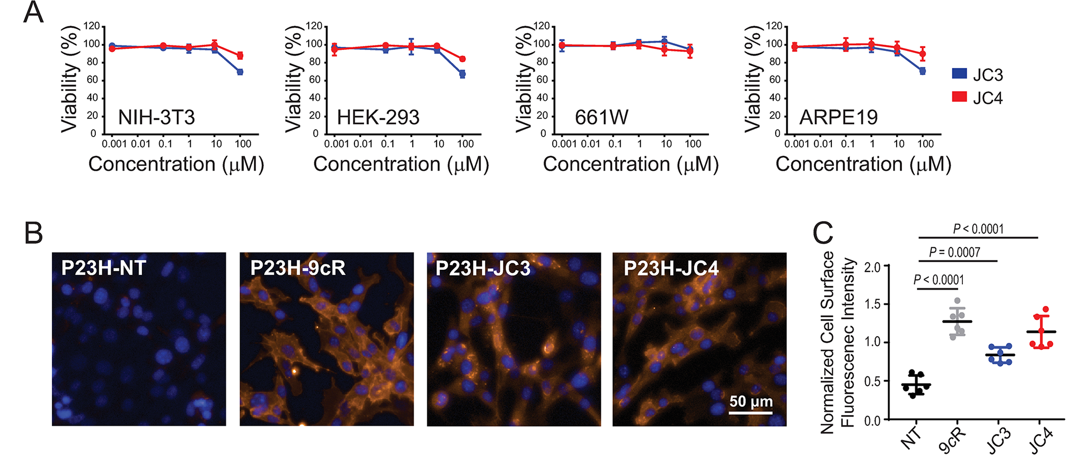 Effect of JC3 and JC4 on opsin membrane targeting.