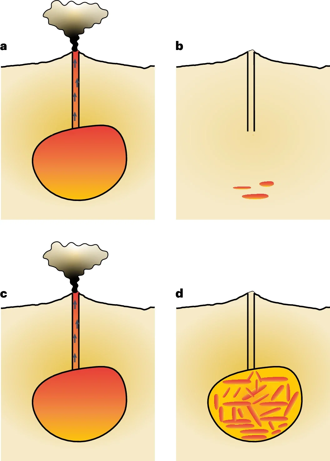 Ephemeral magma body; large magma body is observable near the eruption stage (a) but not the dormant stage (b). c,d, Long-lived magma bodies, present during both eruption (c) and dormant (d) stages.