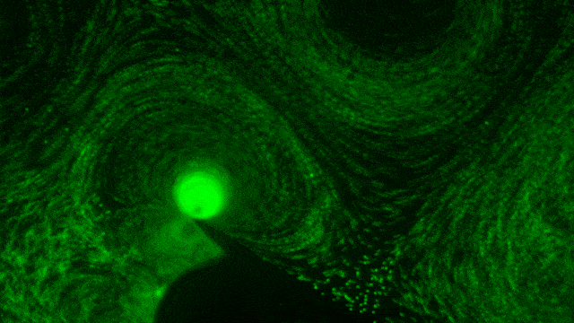 The AIMDx chip integrates purification, lysis, and detection into a compact platform, enabling rapid, accurate, and non-invasive diagnostics for viral and immune markers.