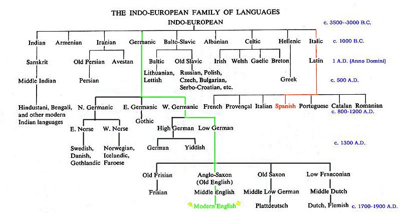 Indo European Language Family Tree. 