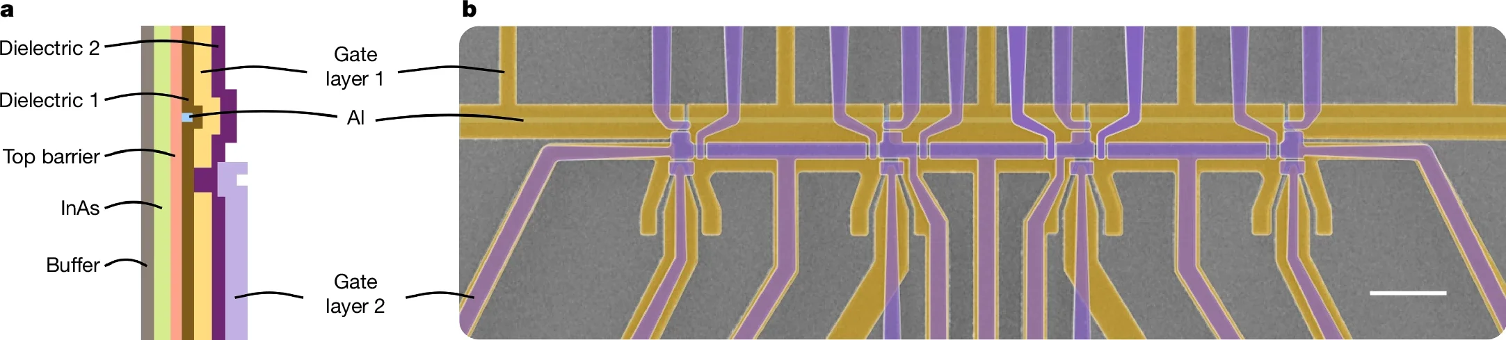 a, Cross-section of the gate-defined superconducting nanowire device design. b, Scanning electron microscopy image with the aluminum strip (blue), first gate layer (yellow) and second gate layer (purple) indicated in false color.