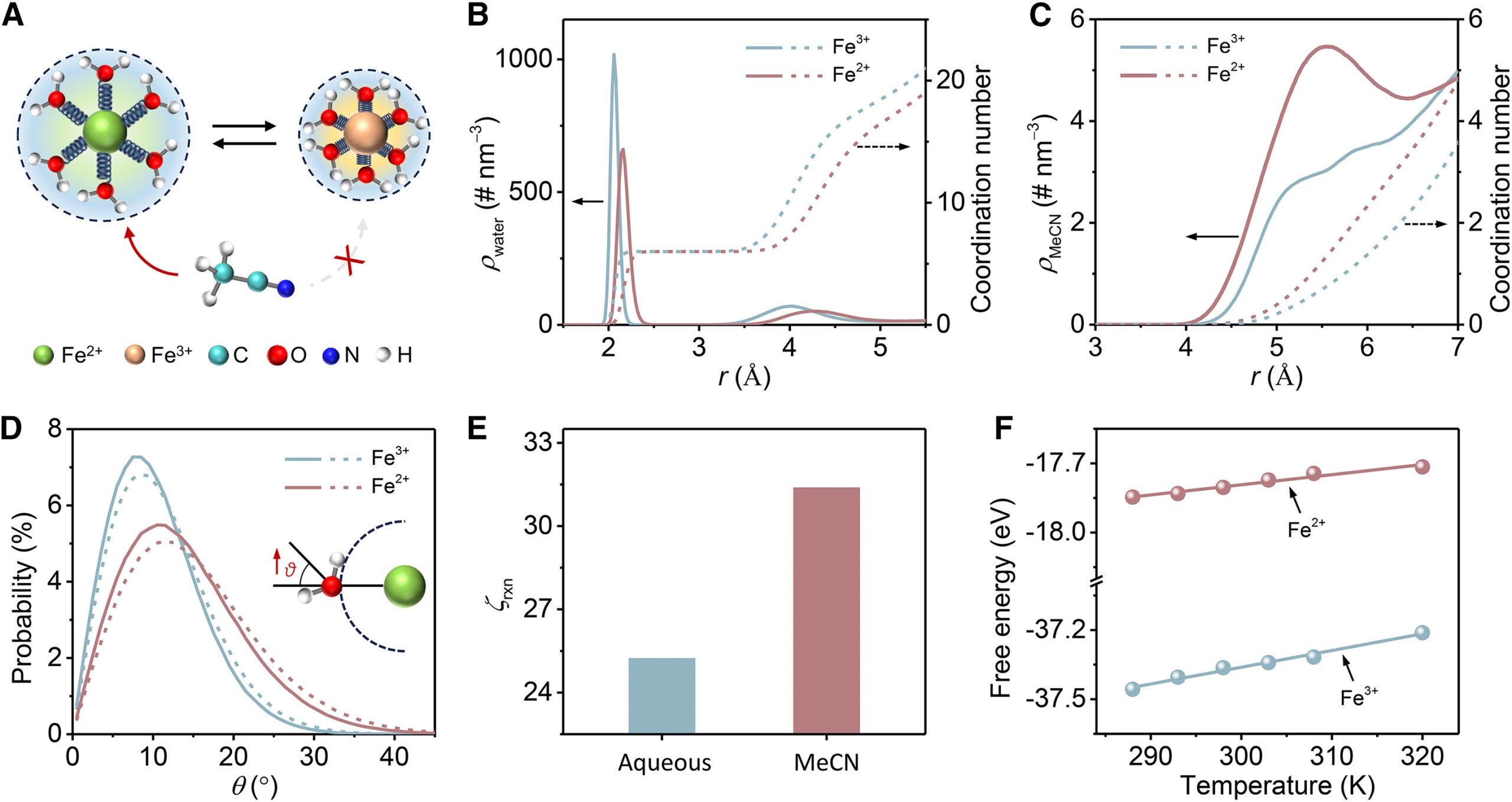 MD simulation for Fe2+/3+ electrolyte with added MeCN