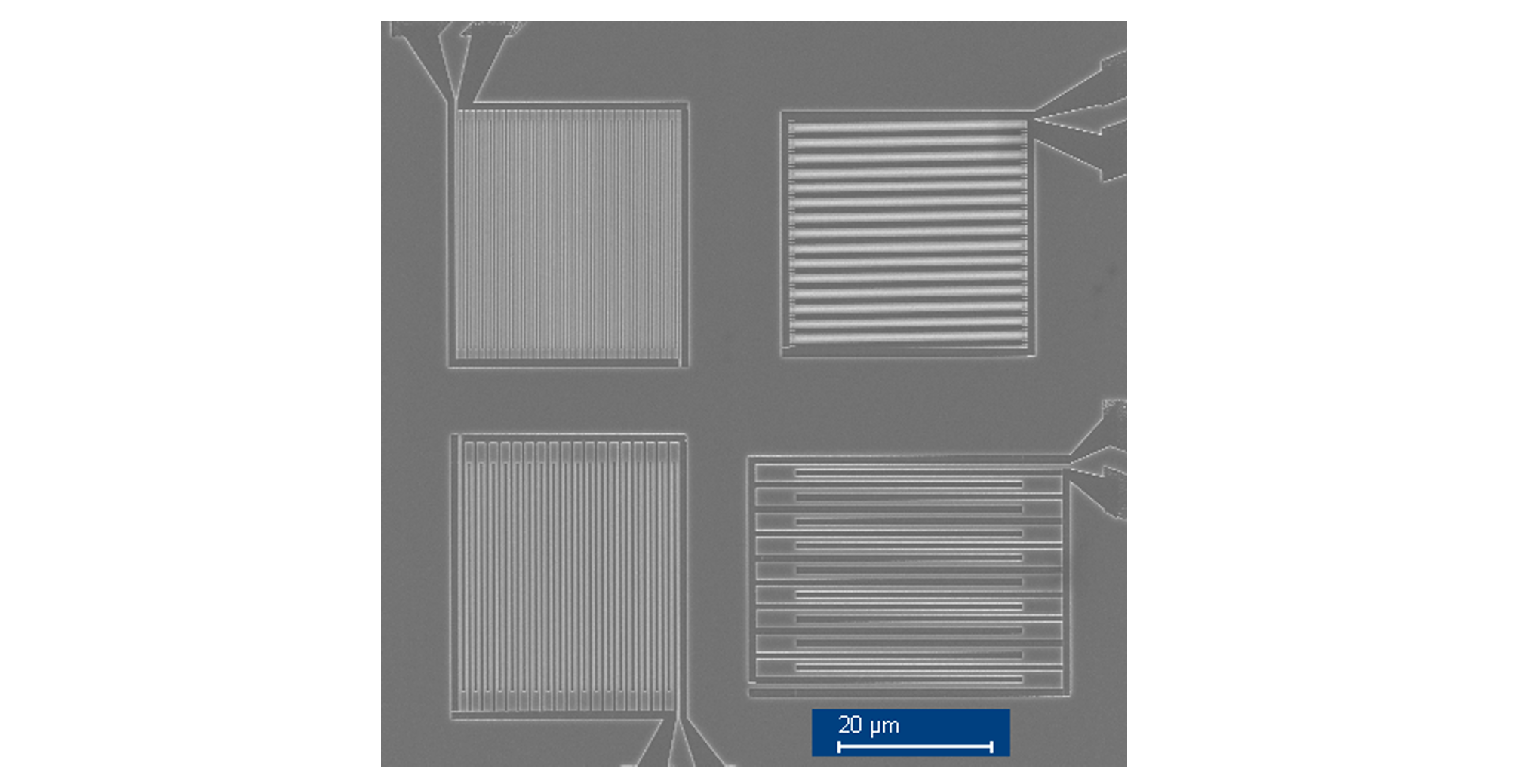 SEMimage of a typical test sensor array that has four different width configuration: 100nm (top left), 200nm (bottom left), 400nm (top right), and 800nm.
