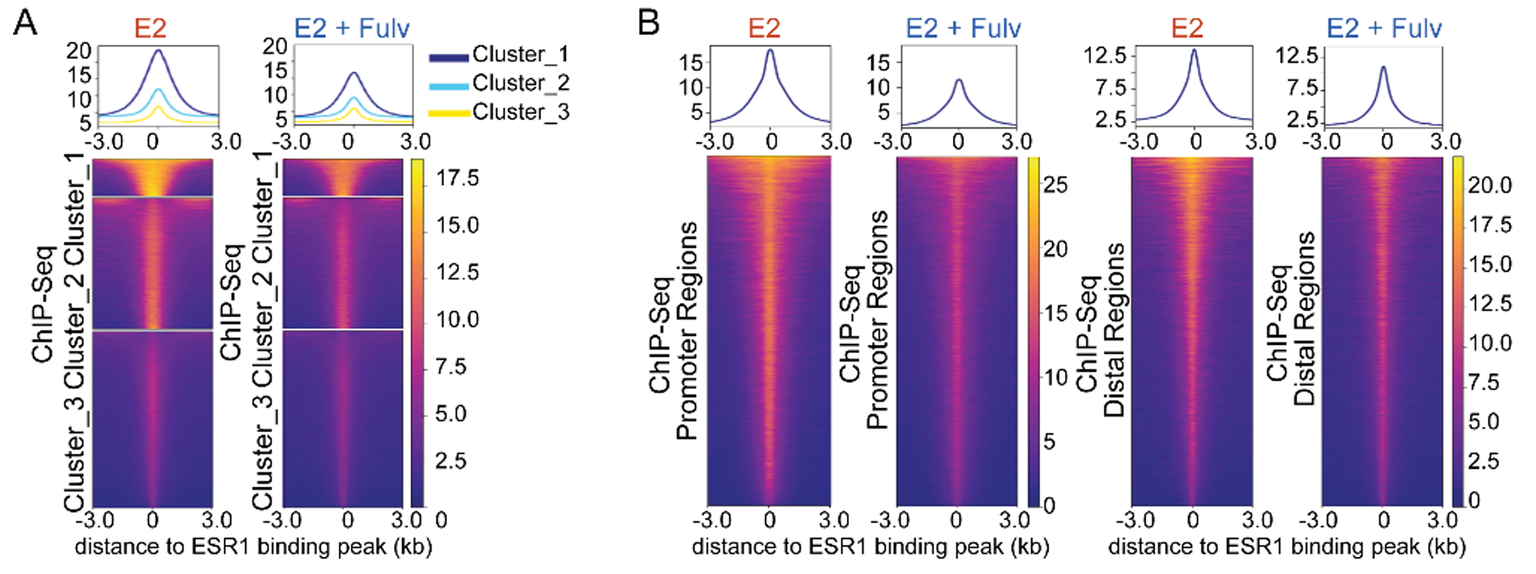 Genomic overview of E2/ESR1 signaling in hernia-associated fibroblasts by ESR1 ChIP-seq analysis.