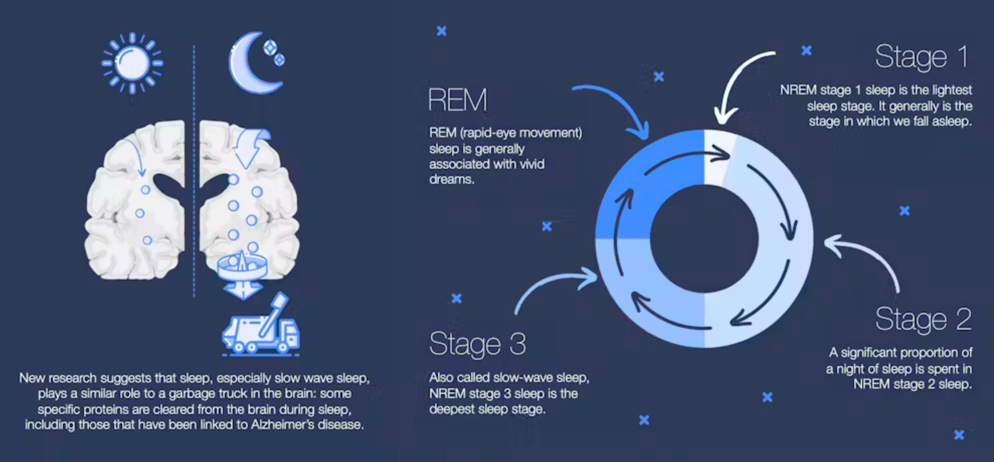 Research suggests that disrupted sleep, particularly issues with deep sleep and rapid eye movement (REM) sleep, is linked to increased risk and progression of Alzheimer’s and related dementias.