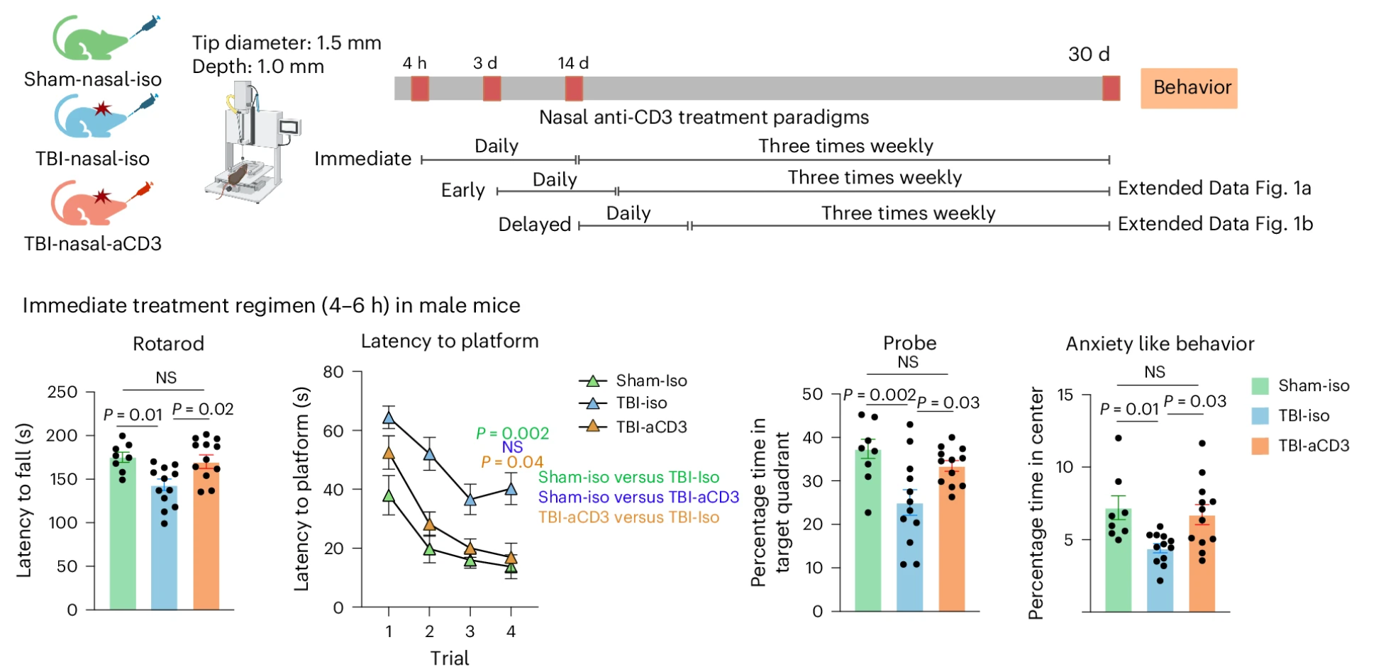 Nasal aCD3 improves behavioral outcomes and ameliorates neuropathological outcomes in the CCI model of TBI. Experimental timeline schematic for treatment regimens