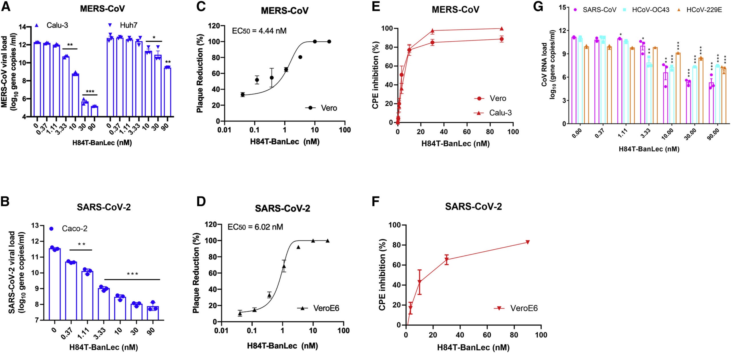 Broad-spectrum in vitro antiviral activity of H84T-BanLec against human-pathogenic coronaviruses