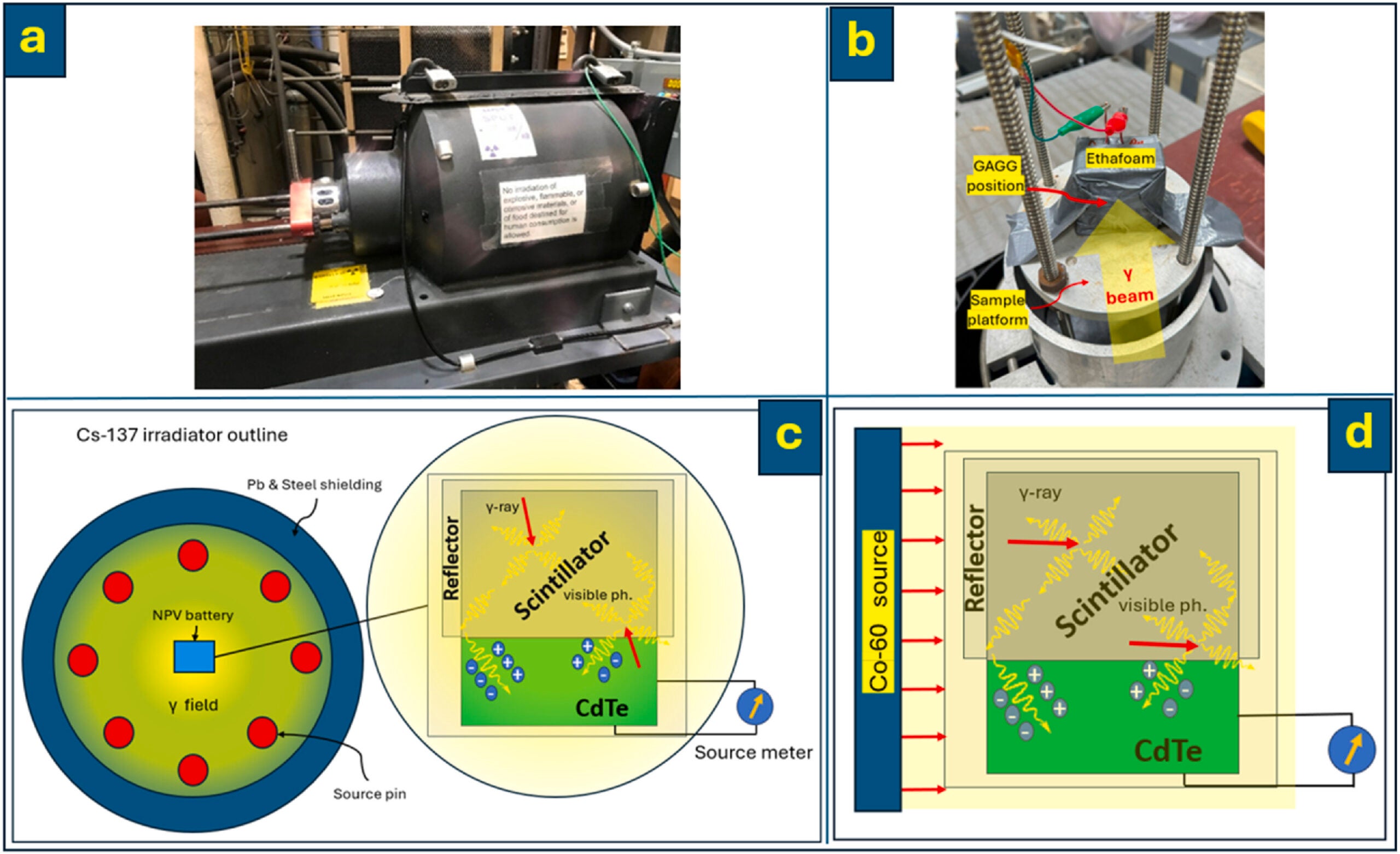(a) Cs-137 Benchtop Irradiator at Nuclear Reactor Laboratory (NRL)-the sample drawer is fully inserted, (b) Co-60 irradiator experiment setup (GAGG-based nuclear PV battery is positioned on the sample platform), and depiction of Cs-137 (c) and Co-60 (d) experimental setups.