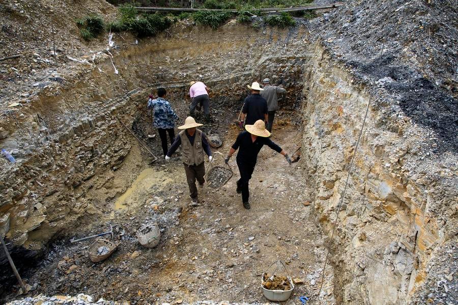 Photo taken on Oct. 21, 2023 shows researchers of the Institute of Vertebrate Paleontology and Paleoanthropology (IVPP) under the Chinese Academy of Sciences (CAS) and of the Fujian Institute of Geological Survey (FIGS) working at a field survey and excavation site in Zhenghe County, east China's Fujian Province. 