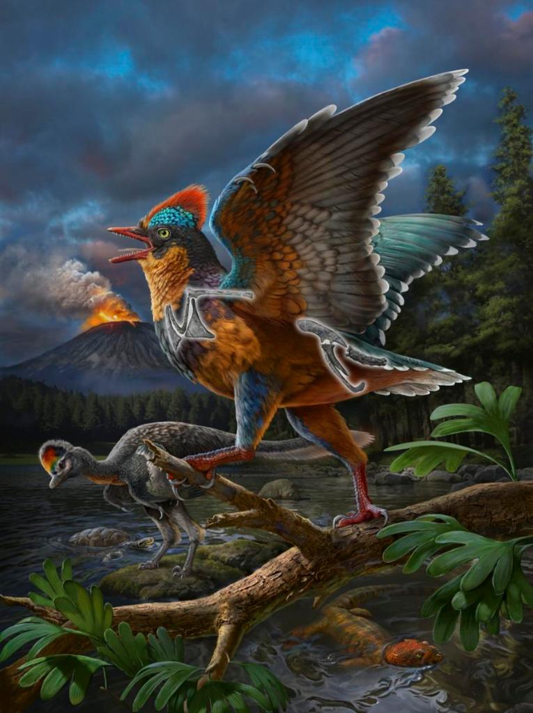 Restored image of the fossilized bird Baminornis zhenghensis and Zhenghe Fauna. 