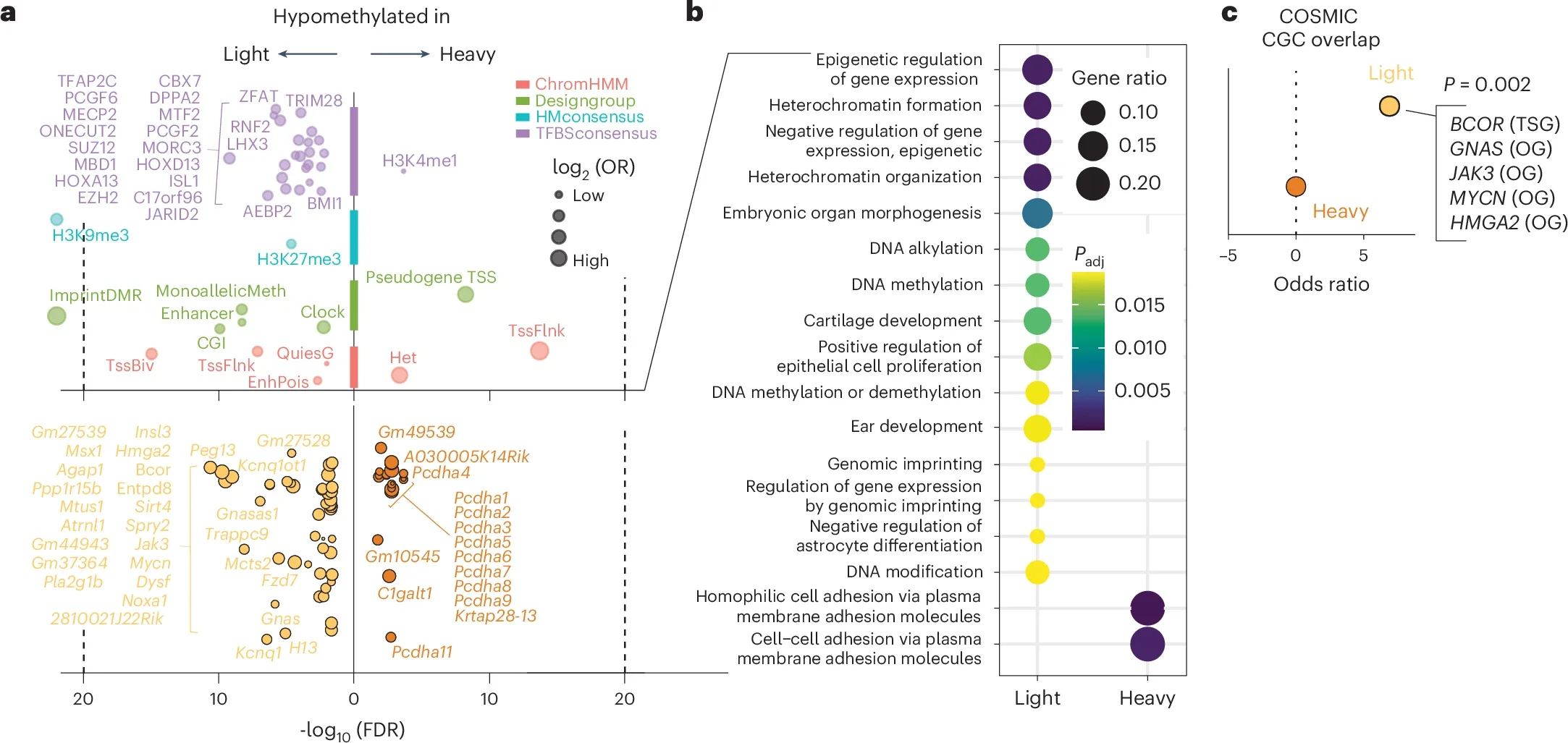 Trim28+/D9-dependent early-life epigenomes are enriched for epigenetic regulators and bona fide oncogenes.