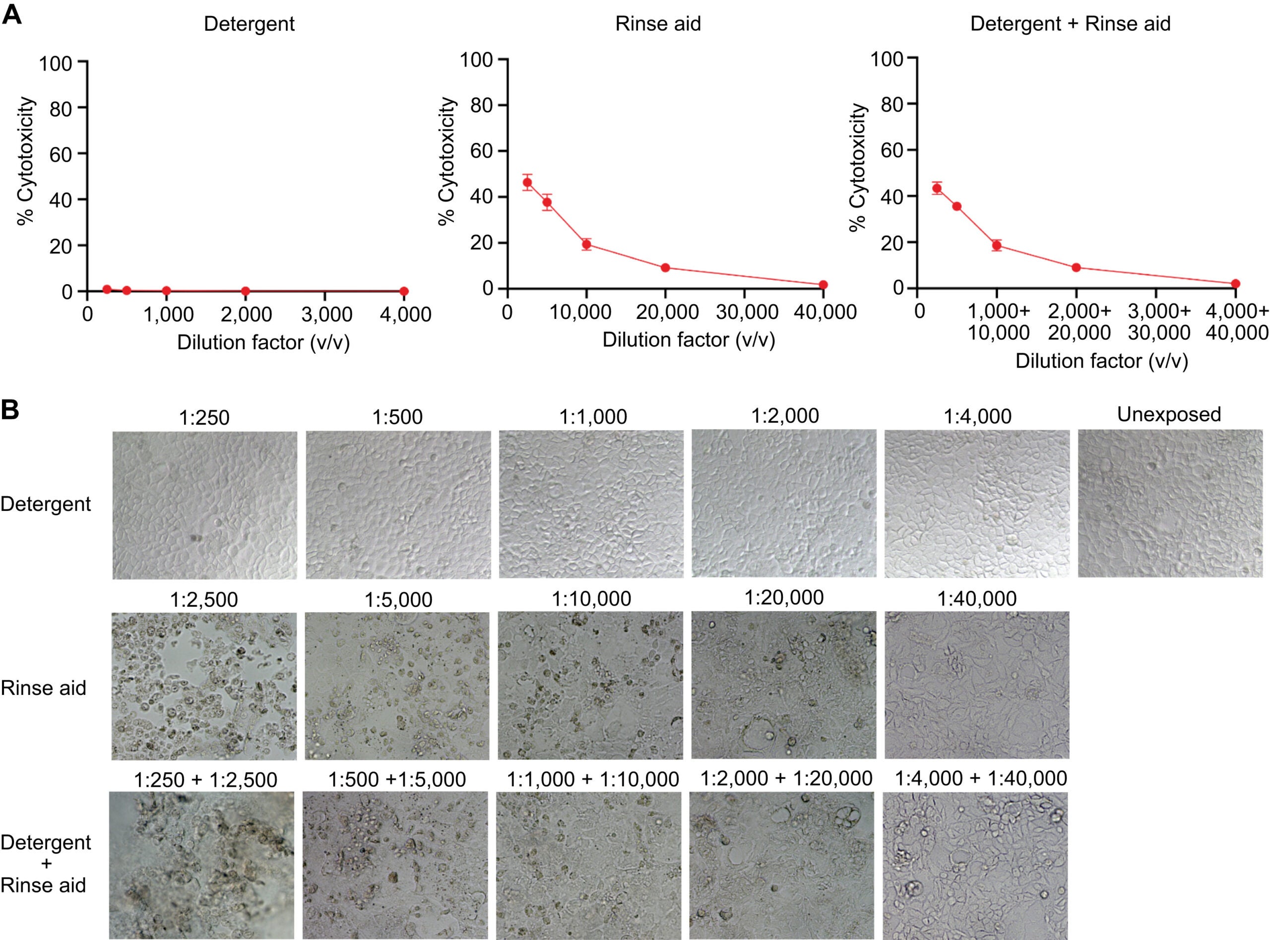 Dose-dependent cytotoxicity in Caco-2 cells in response to professional dishwasher detergent and rinse aid. A, Cytotoxicity of monolayer-cultured Caco-2 cells treated with professional dishwasher detergent and rinse aid alone or as a mixture for 24 hours in different dilutions.