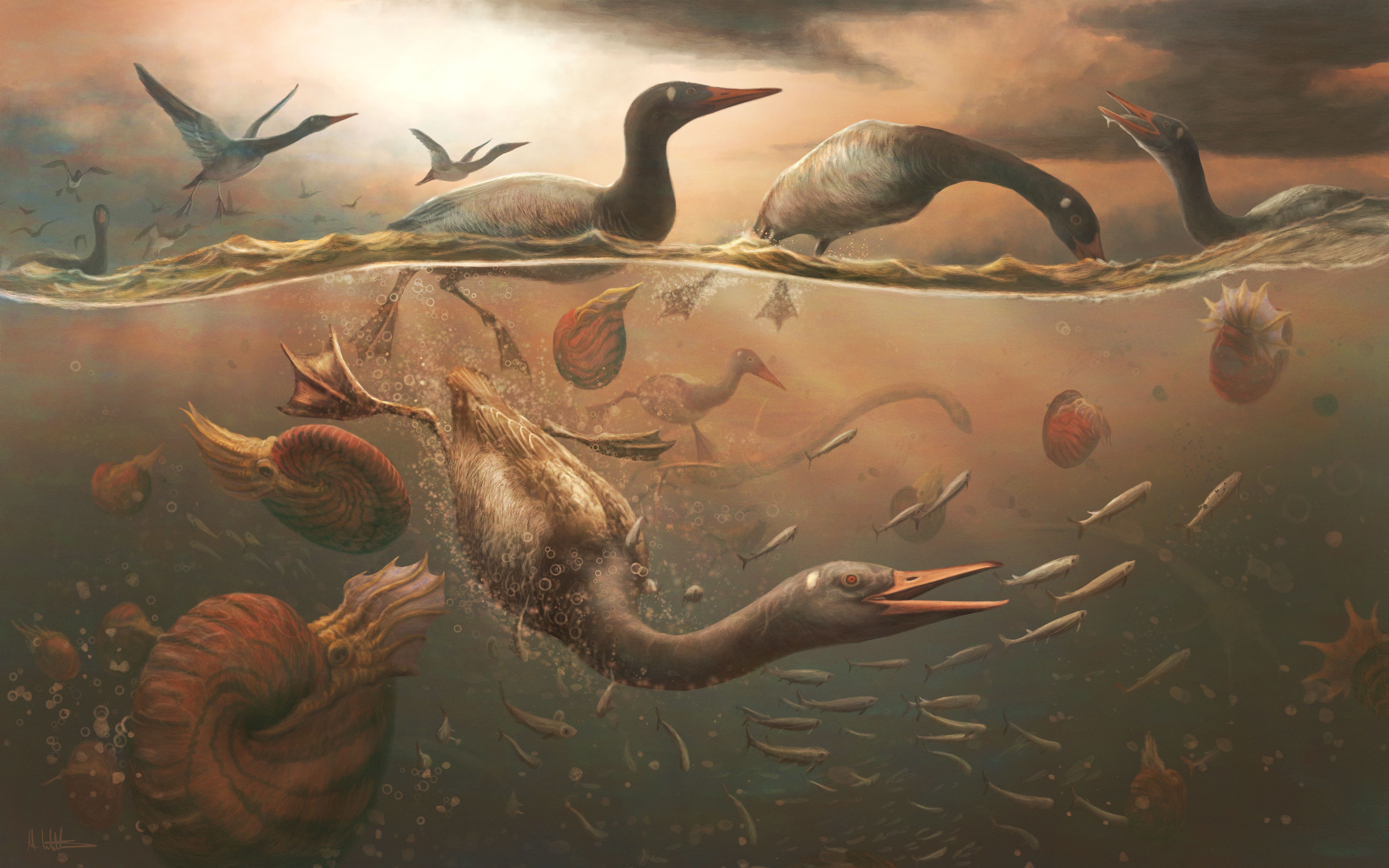 The Late Cretaceous modern (crown) bird, Vegavis iaai, pursuit diving for fish in the shallow ocean off the coast of the Antarctic peninsula, with ammonites and plesiosaurs for company.