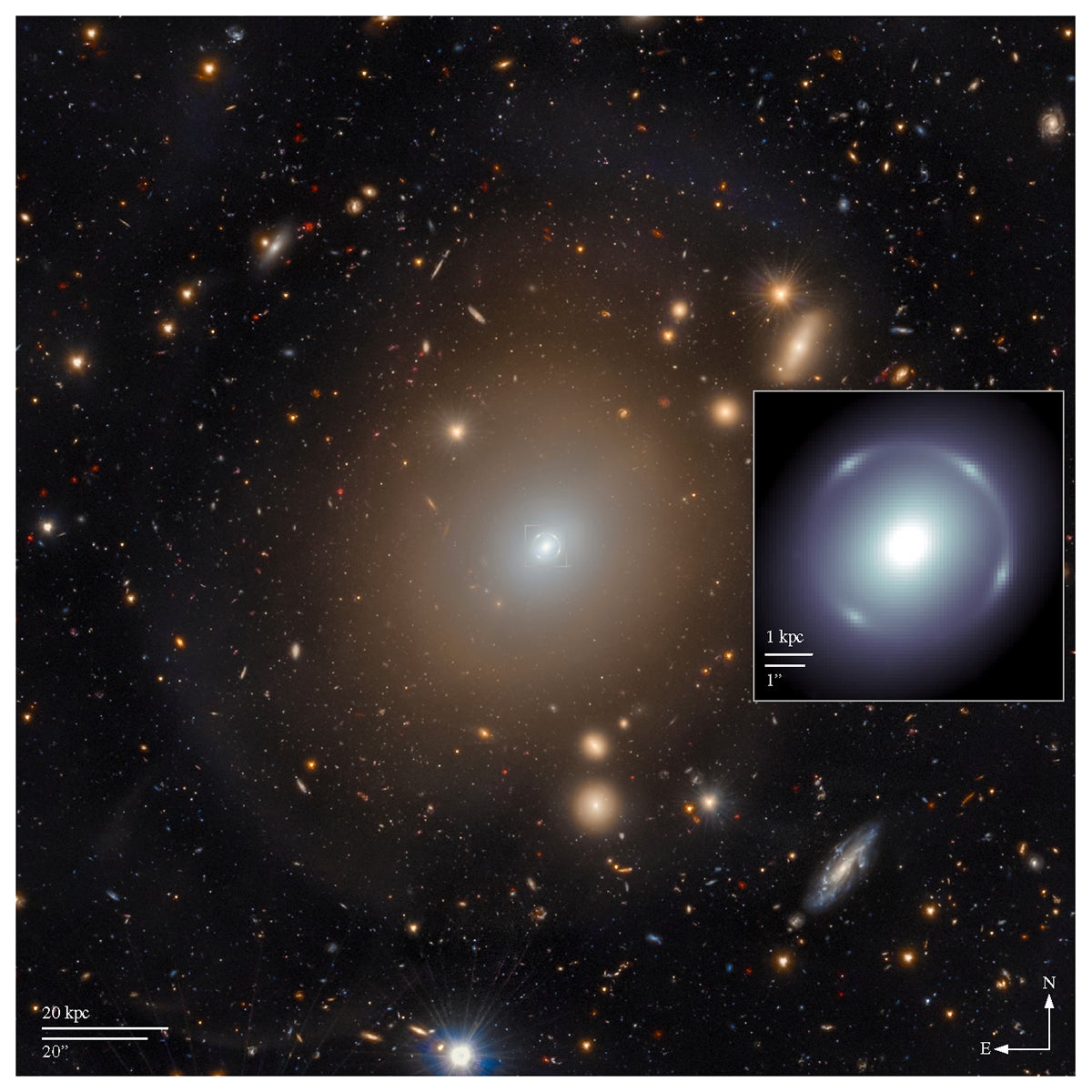 Euclid imaging data used in this work, and in which Altieri’s lens was discovered.