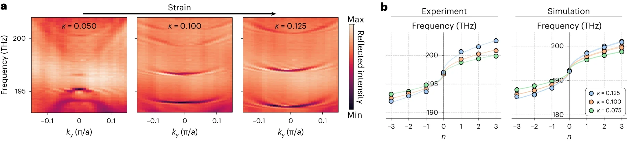 Far-field reflection spectra displaying the evolution of photonic bands with increasing strain magnitude κ.