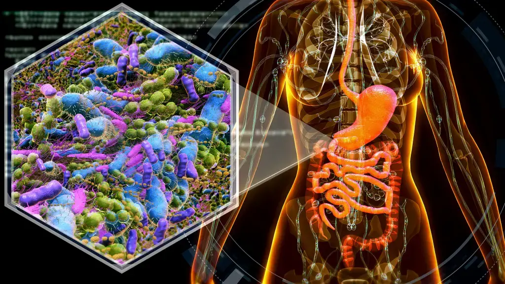 The diet shapes the microbiome, influencing processes such as digestion, immune function, and overall health.