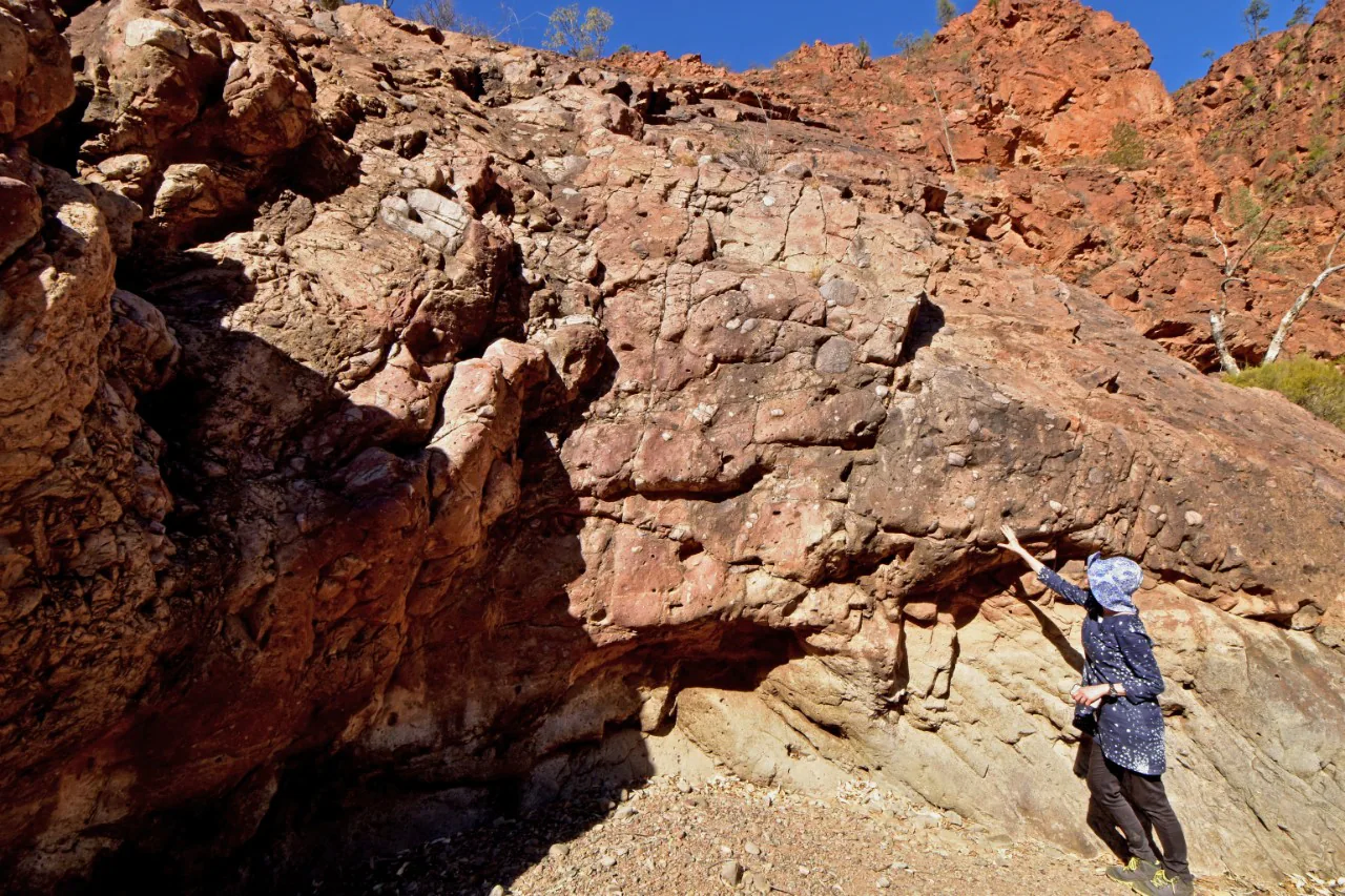 Deposits from the Sturtian Glaciation 717­–664 million years ago in the northern Flinders Ranges, Australia. Research lead author Dr Adriana Dutkiewicz pointing to a thick bed of glacial deposits. 