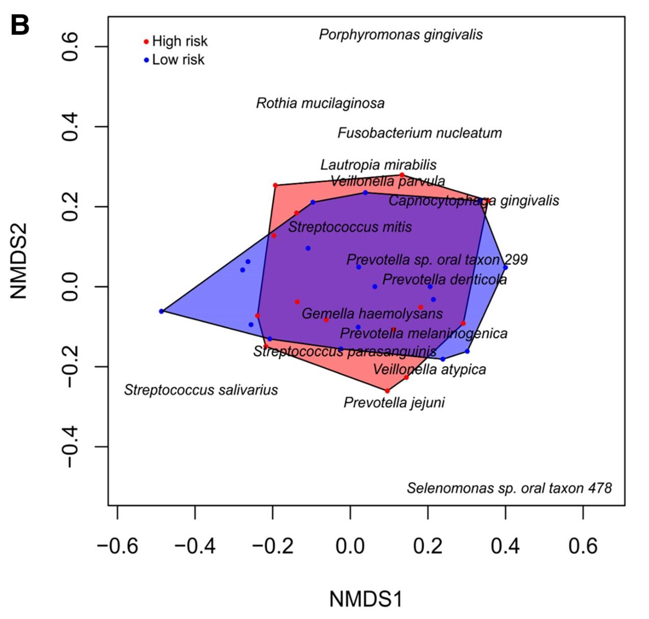 NMDS also indicated no distinct groupings or significant differences between the APOE4 carriers (red) and noncarriers (blue) within the MCI group.