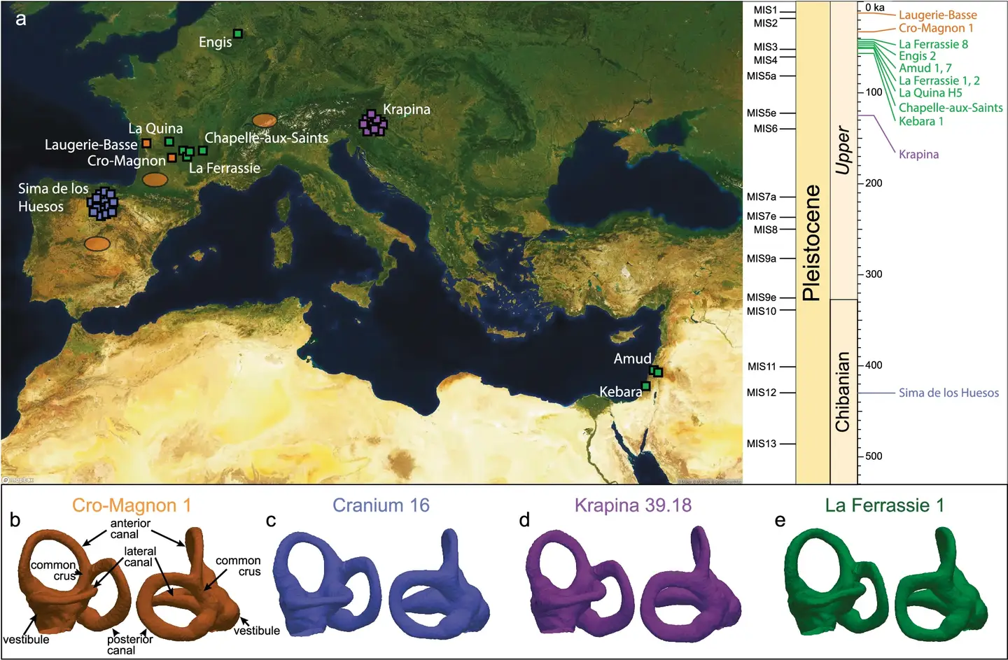 Geographical and chronological range of Neanderthal individuals and modern humans included in the analysis.