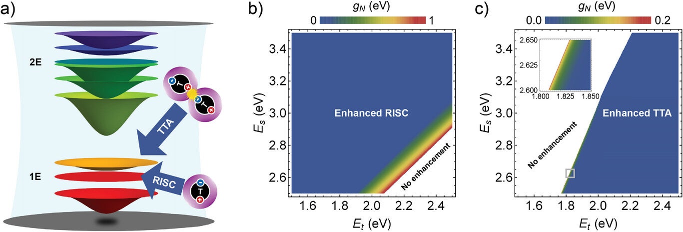 Overview of the study and enhancement maps. Schematic picture of polaritons in the 1- and 2-excitation subspaces (1E and 2E), RISC, and TTA.