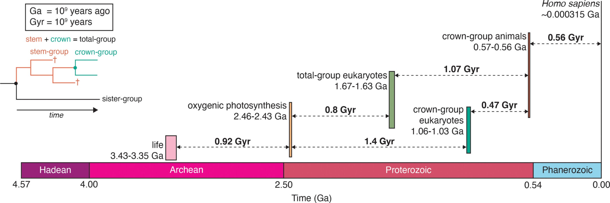 The temporal distribution of our candidate hard steps. The vertical colored bars represent the earliest unequivocal evidence for each candidate hard step in the geologic record with widths spanning the upper and lower age constraints (bar lengths are arbitrary). 