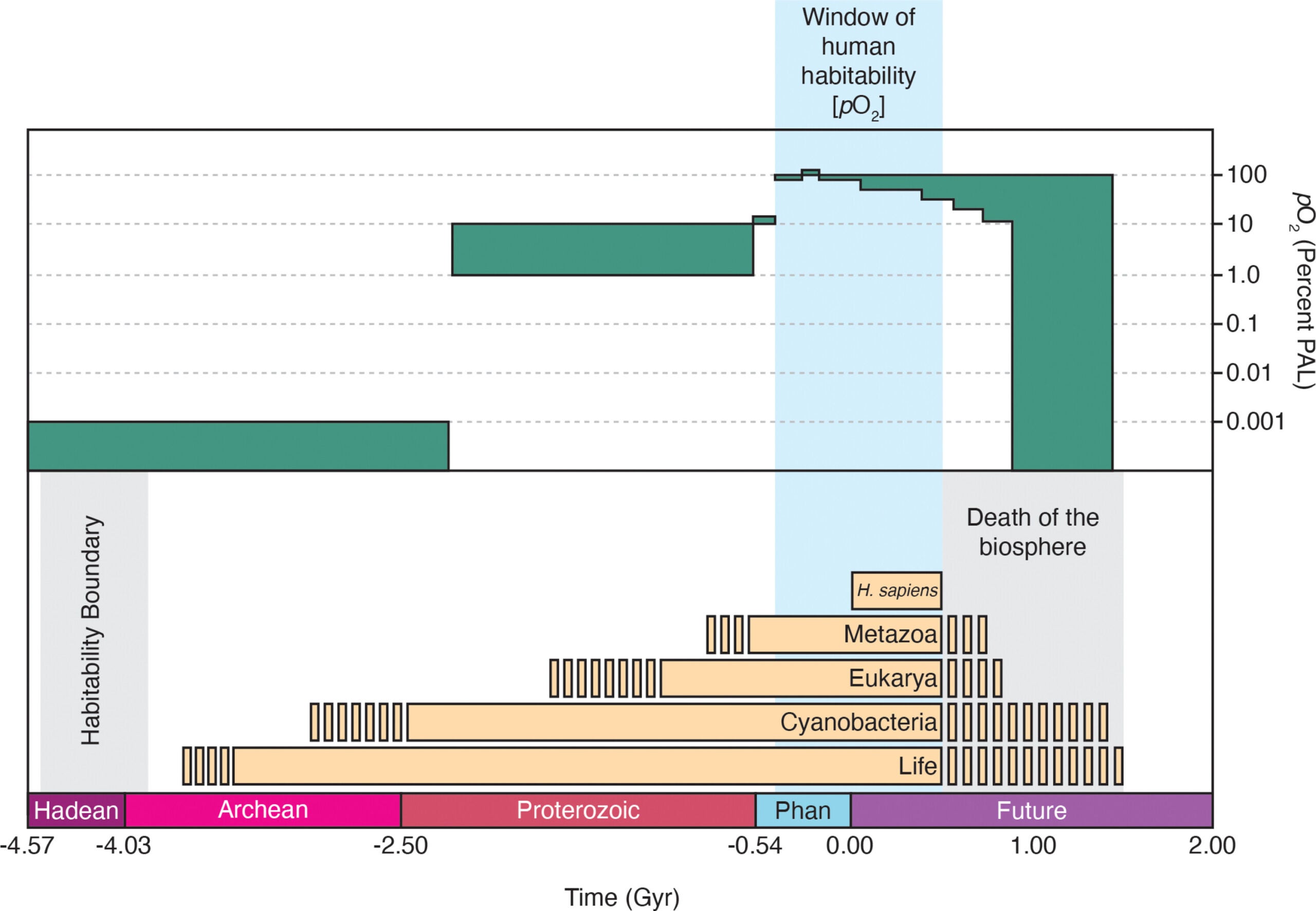 The lifespan of the biosphere is necessarily constrained between the onset of Earth’s habitability (the “habitability window,” constrained between ~4.5 and ~3.9 Ga)  and its end (the extinction of all life, constrained to ~1.0 ± 0.5 Gyr into the future).