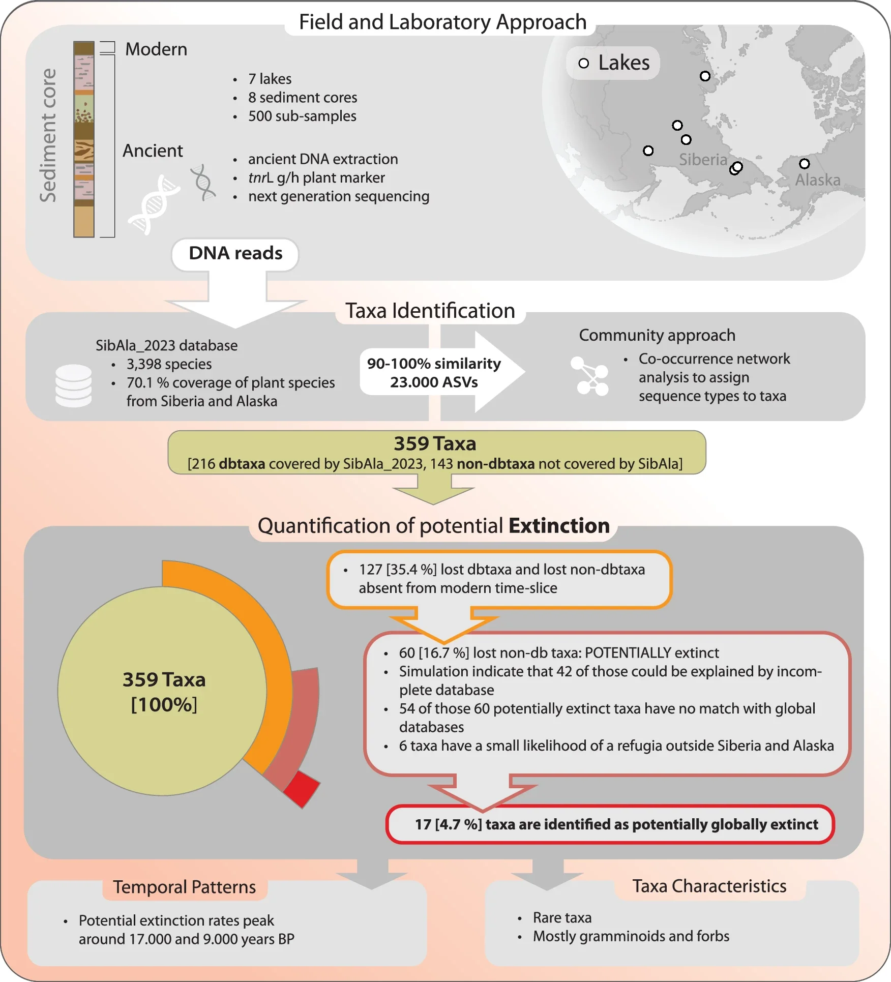 Workflow from data collection, DNA extraction, taxa identification, towards the quantification of extirpation and potential extinction.