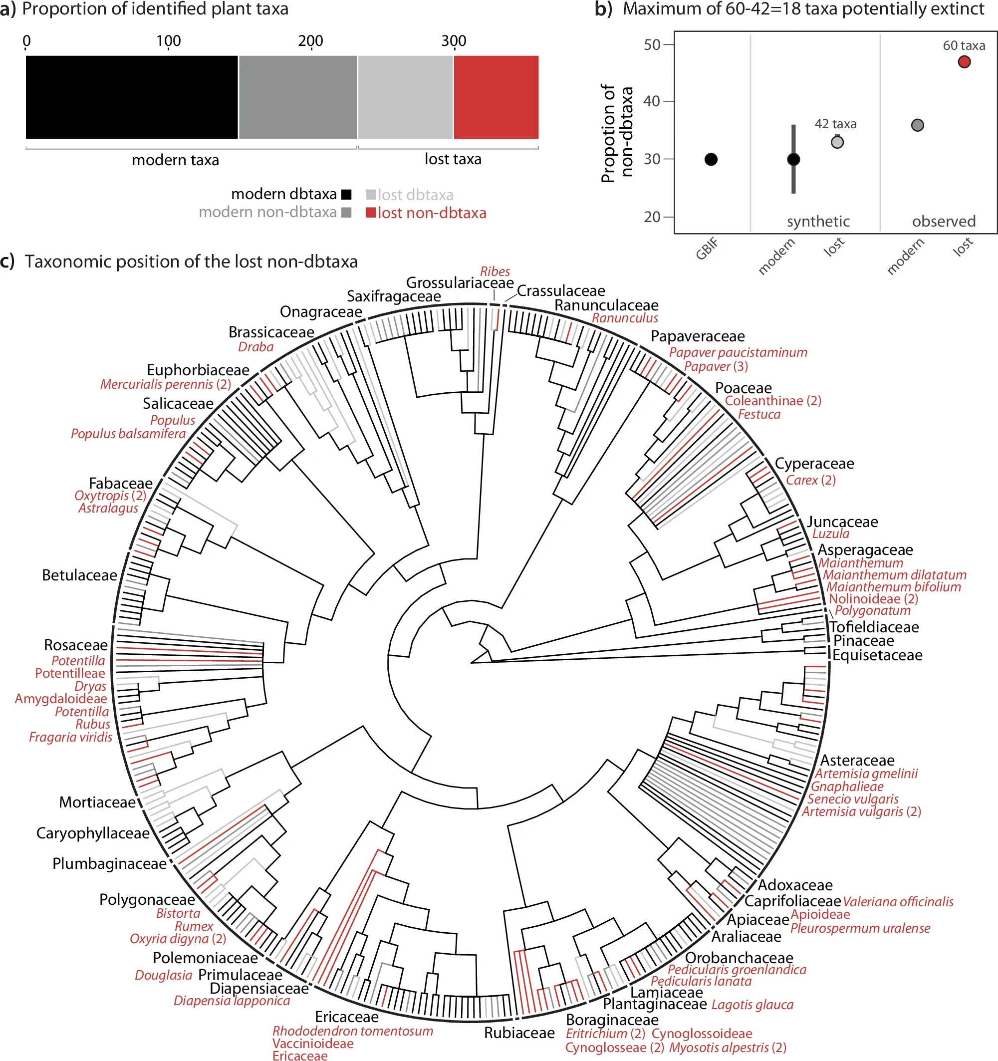 Information about the identified plant taxa.