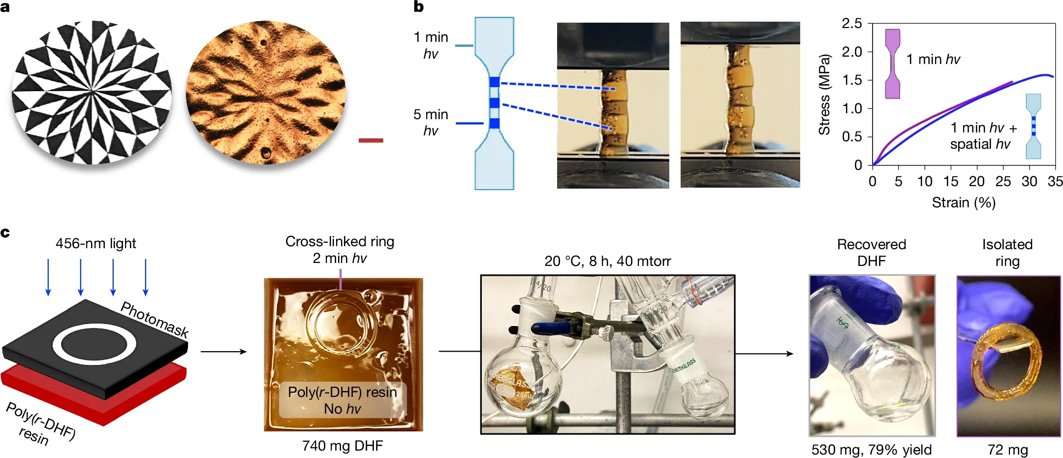 Spatiotemporal control over DHF thermosets. a, Patterning a DHF thermoset material with spatially resolved domains using a transparency photomask. b, Stiff and elastic domains are produced in a single material through binary photopatterning with a metal photomask. c, Voids can be patterned into films by thermal depolymerization of non-crosslinked areas. 