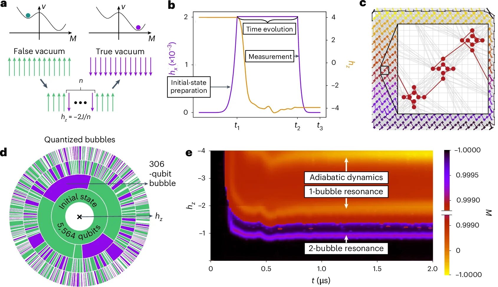 Realizing false vacuum decay on a quantum annealer.