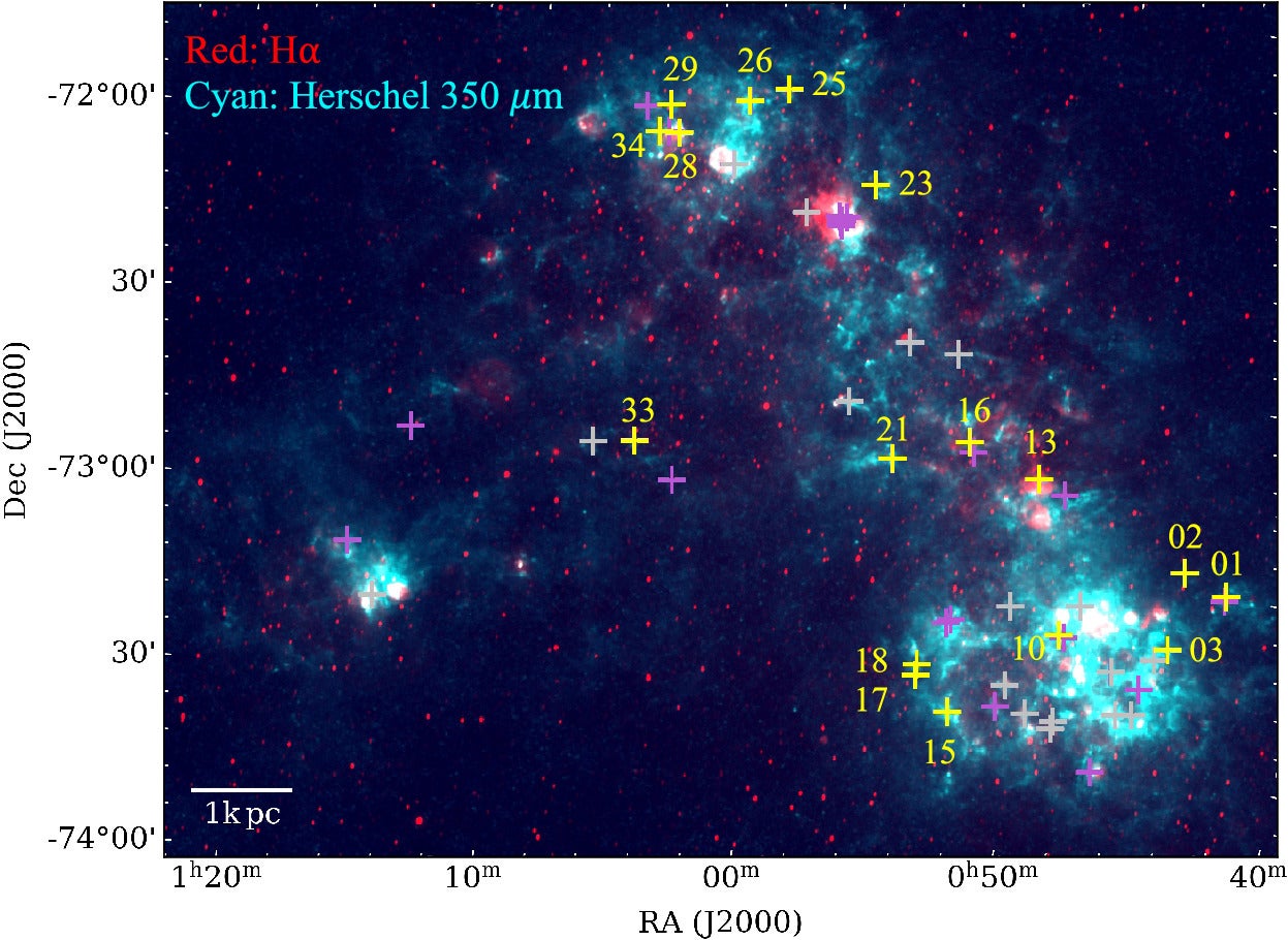 The overall view of the SMC and the positions of the target YSOs. The red and cyan backgrounds show Hα (R. C. Smith & MCELS Team 1999) and Herschel 350 μm (M. Meixner et al. 2013) images, respectively.
